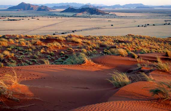 Sand Tracks for Incubators