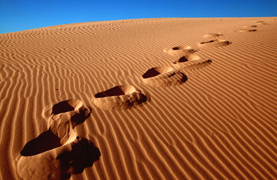 Sand Tracks